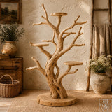 Handcrafted Solid Wood Tree Parrot Play Stand for Small Birds - Image 2