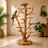 Handcrafted Solid Wood Parrot Play Stand for Small Birds - image 1
