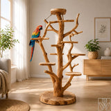 Handcrafted Solid Wood Parrot Play Stand for Small Birds - image 5