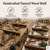 Handcrafted Tree Branch Floating Shelves – Unique Natural Wood Wall Shelf Set, Sculptural Art Display Bookcase for Living Room, Study, Bedroom & Home Library (2 Level Shelves) (C1)