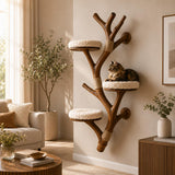 Natural Wood Wall Mounted Cat Climbing Tree for Indoor Cats - image 3