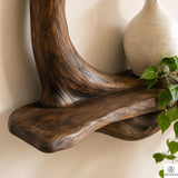 Handcrafted Tree Branch Floating Shelves – Unique Natural Wood Wall Shelf Set, Sculptural Art Display Bookcase for Living Room, Study, Bedroom & Home Library (2 Level Shelves) (C1)