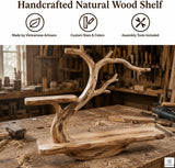 Sculptural Tree Branch Floating Shelf, Three Levels