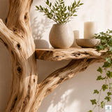 Handcrafted Tree Branch 3-Level Floating Wood Shelf C2