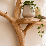Handcrafted Tree Branch 3-Level Floating Wood Shelf C5