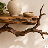 Handcrafted Tree Branch Floating Wood Wall Shelf Set