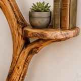 Handcrafted Tree Branch Wall Bookshelf for Living Room