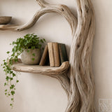 Tree Bookshelf with Branch Shelves, Wooden Standing Bookcase for Living Room, Entryway, Bedroom & Boho Rustic Home Decor - image 2