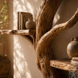Wooden Tree Branch Standing Bookshelf and Bookcase