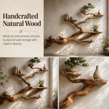 Handcrafted Tree Branch Bookshelf - The Mesa Drift Canopy