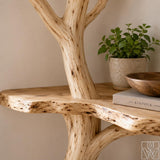 Unique Handcrafted Natural Wood Tree Branch Corner Shelf