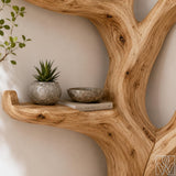 Handcrafted Tree Branch Book Shelf Corner Bookcase