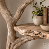 Handcrafted Tree Branch Floating Shelf Corner Bookcase