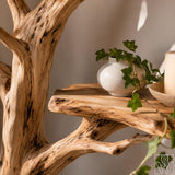 Handcrafted Tree Branch Floating Shelf Corner Bookcase