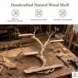 PREAUREUM Handcrafted Tree Branch Floating Shelf (C2)