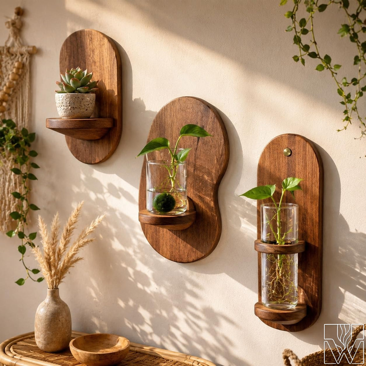 Solid Wood Floating Wall Mounted Shelf for Small Plants