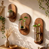 Solid Wood Floating Wall Mounted Shelf for Small Plants