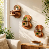 Solid Wood Floating Wall Mounted Shelf for Small Plants