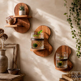 Solid Wood Floating Wall Mounted Shelf for Small Plants