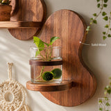 Solid Wood Floating Wall Mounted Shelf for Small Plants