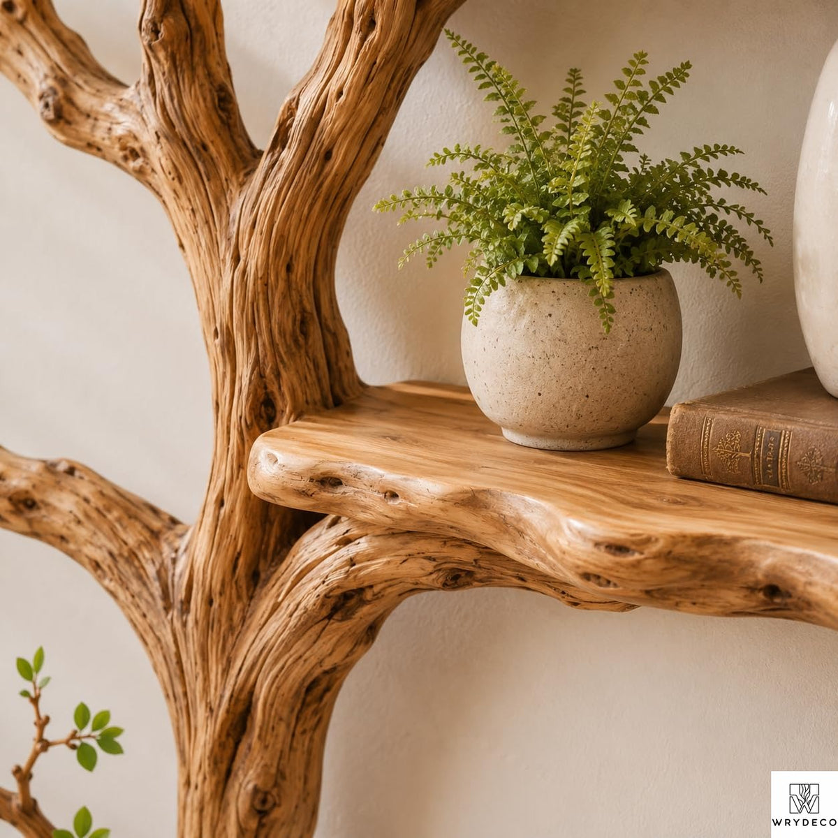 Handcrafted Tree Branch Floating Shelves – Unique Natural Wood Wall Shelf Set, Sculptural Art Display Bookcase for Living Room, Study, Bedroom & Home Library (2 Level Shelves) (C1)