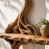 PREAUREUM Handcrafted Tree Branch Floating Wood Wall Shelf (C03)