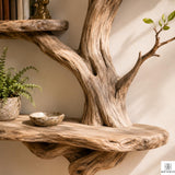 PREAUREUM Handcrafted Tree Branch Floating Shelf (C2)